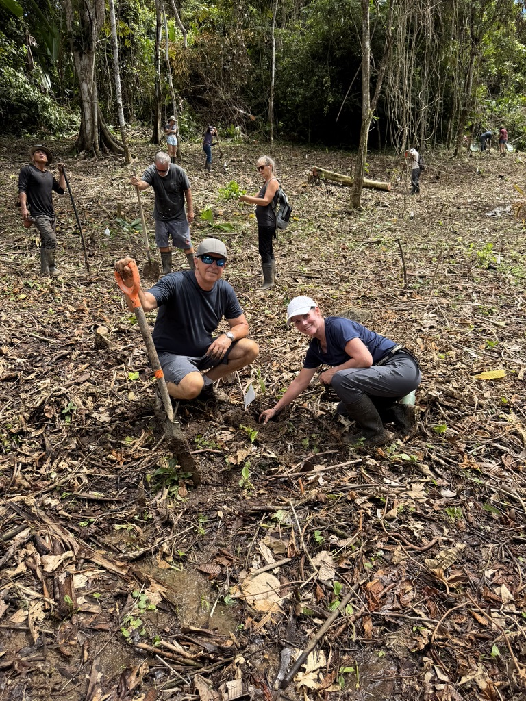 John and Kathleen D'Angelo planting a tree with a shovel in the forest plot