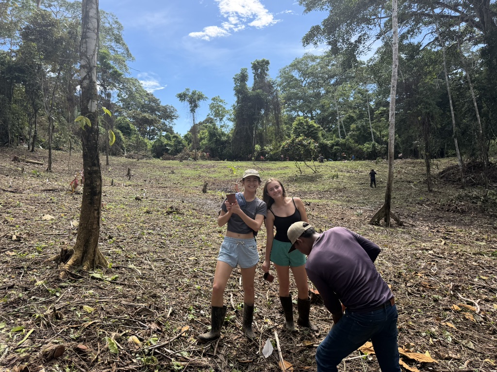 Vaill D'Angelo Balaban and Sophia D'Angelo planting in a cleared forest plot
